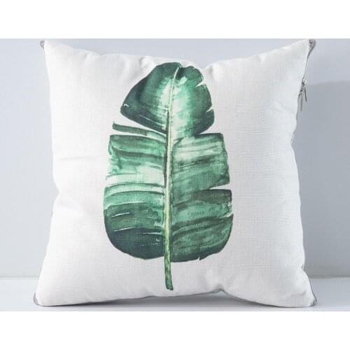 СайлиД Cushions