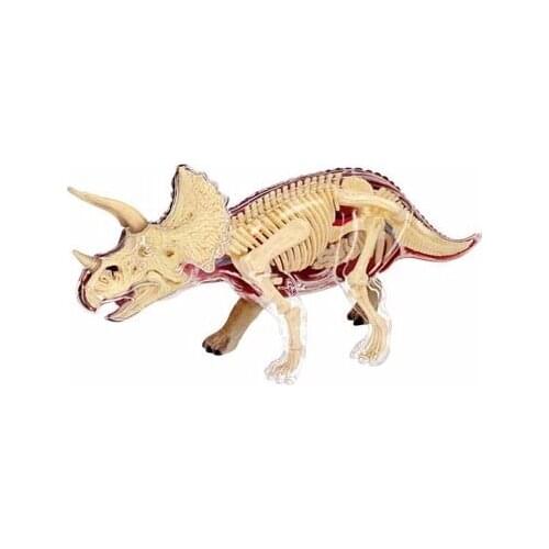 4D Medical Animal Anatomy Triceratops Model Dinosaur Model with Organs and Bones Educational Puzzle Medical Science Doll Toys