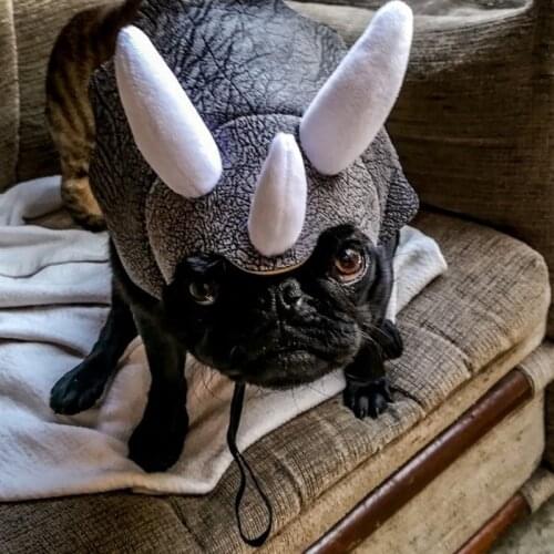 Pet Triceratops Dog Dinosaur Hat Pet Cat Dog Hat Pet Transformation Cap Pet Headgear Costume Dog Hat Cap Christmas Dog