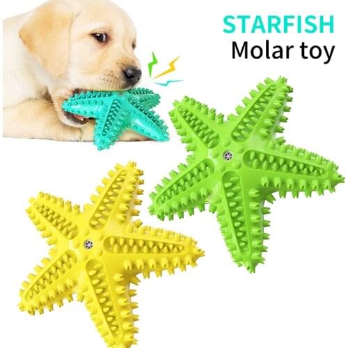 Dog Chew Toy Bite Resistant Squeaky Vocal Sound Rubber Starfish Pet Puppy Molar Oral Care Teeth Cleaning Toothpaste Toothbrush