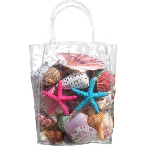 Natural Shell Conch Decoration Starfish Shell Fish Tank Aquarium Deck Landscaping Childrens Toy Gift home decoration