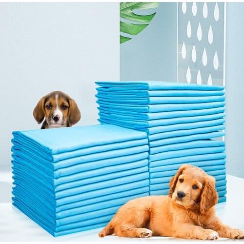 Cute dog Houses For Dogs