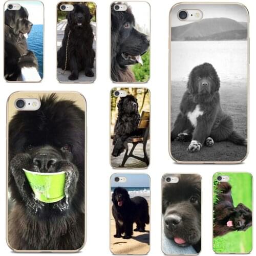 For Huawei Nova 2 2i 3 3i Y3 Y5 Y6 Y7 Y9 Prime 2015 2016 2017 2018 2019 Cell Phone Cover Newfoundland dog Beautiful Gentle Giant