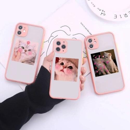 Lovely Cat Animal Pattern Pink Phone Case For iPhone 12 Pro MAX 11 XS 7 XR SE20 X 8 6Plus Shockproof Clear Hard PC Cover Fundas