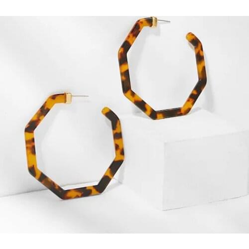 Modern Womens Earrings 2021 Jewelry Sets Geometry Big Circle Vintage Hawksbill Acrylic Acetic Acid Plate Leopard Print Earrings