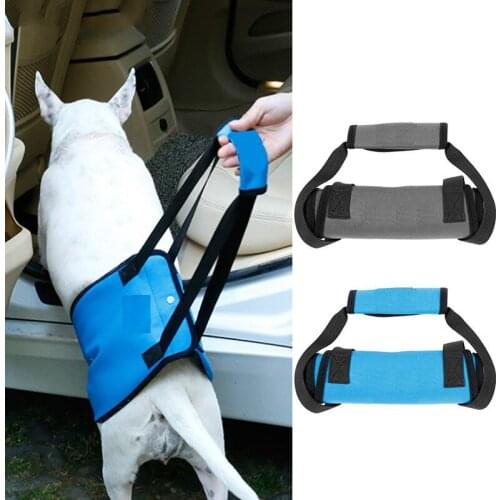 Pet-assisted processor, harness bag that can assist in lifting support for inconvenient walking