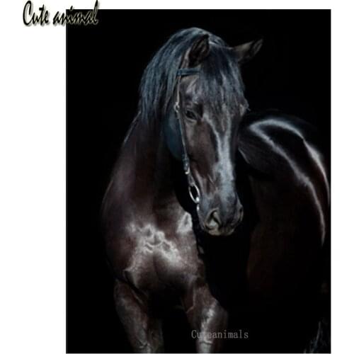 5D diamond painting full drill square round Black horse animal cross stitch product diamond mosaic diamond embroidery decor 2020