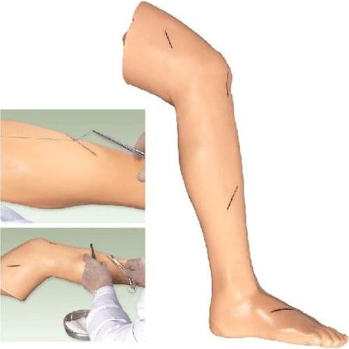 BIX-LF2 Senior Surgical Suture Training Leg Model WBW352