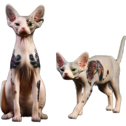 1/6 Tattoo Version Hairless Cat Sphinx Model Jxk026 Standing Or Sitting Cats Toys Animal Action Figure