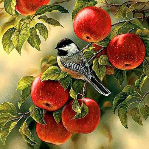 5D DIY Diamond Painting apple bird Vintage Home decor Kit Wall Sticker Full drilling Cross Ctitch Embroidery Home decor WG1637