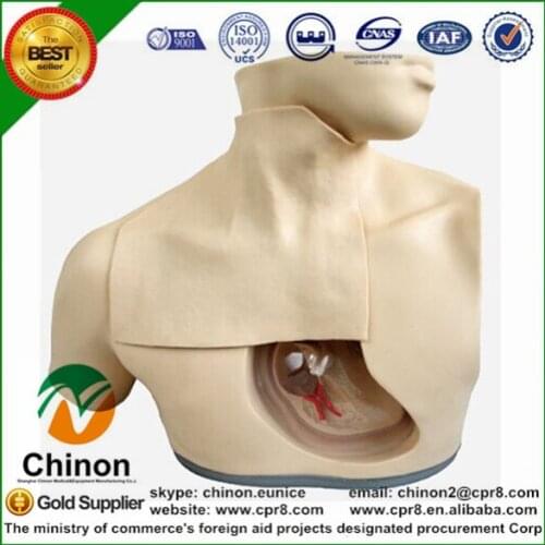 Chinon Advanced Medical Parenteral Alimentation Nursing Model For Medical School Teaching Medical Science Education BIX-H72