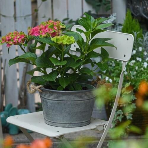 Basin American Countryside Vintage Style Round Galvanized Herb Planter with Hemp Rope Handle