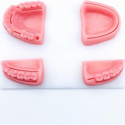 Dental Oral/Gum suture training module silicone periodontitis suture model