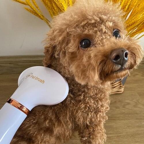 Round-headed Pet Hair Dryer For Dogs And Dogs 2 In 1 Hair Dryer For Cat Drying Hot Air Hair Removal Massage Comb Color Random