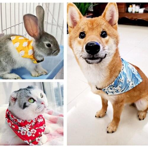 IDEPET Collars