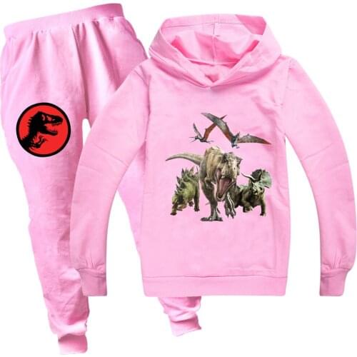 Dinosaur Print Animal Park Hoodies+pants two-piece Suit Boys Clothes Sweatshirt Winter Kids Top Girls Pullover Children Clothing