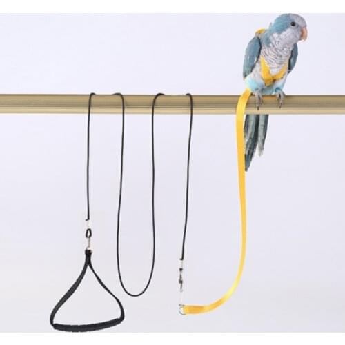 Parrot Flying Training Rope Anti-bite Bird Adjustable Leash Kits with Cute Wing for Peony Parrot Mynah Training Supplies