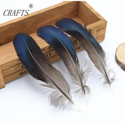 100 pc quality natural Lady Amherst Pheasant feathers, 4-6inches/ 10-15cm DIY decorative handicrafts accessories