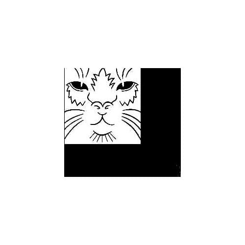 12x12cm Cat Face Stickers Decal Car Auto Bumper Bike Decor Unique Art Pattern ZP0300