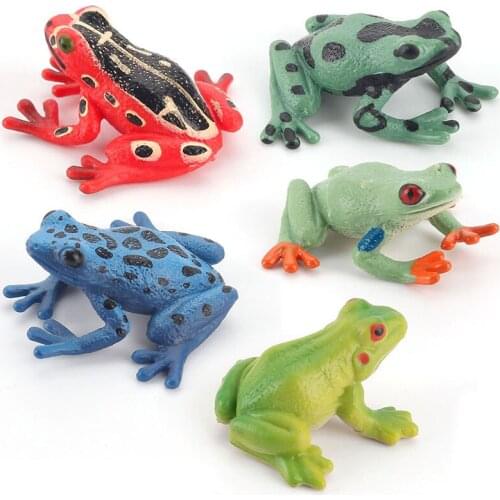 Wild Animal Cognition Action Figures Kids Plastic Model Toys Rainforest Frog Animal Figure Collectible Toys