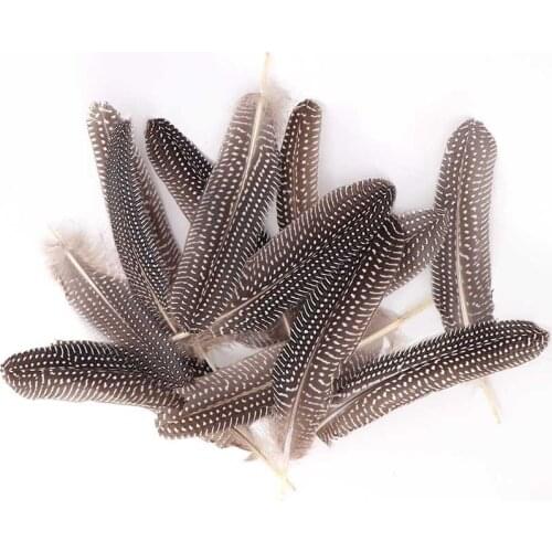 Hot Sale 10pcs/lot Beautiful Natural Guinea Fowl Feathers 15-20cm/6-8inch Wedding DIY Decoration Plumas Plume