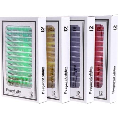 Everlasting 48Pcs/Set Prepared Microscope Slides Specimen Animals Insects Plants Flowers Sample