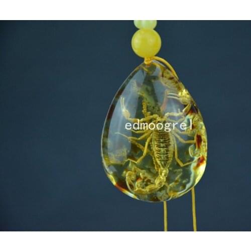 Old Tibet amber scorpion pendant & Fine jewelry,free shipping