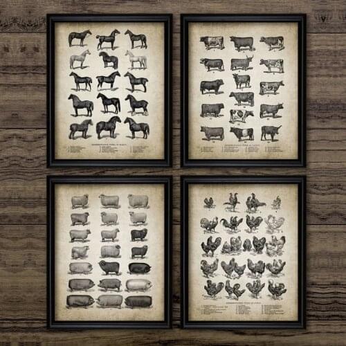 Retro Poster Farm Animals Poster Print Chicken Pig Sheep and Horse Wall Art Painting Retro Animal Picture Home Decoration