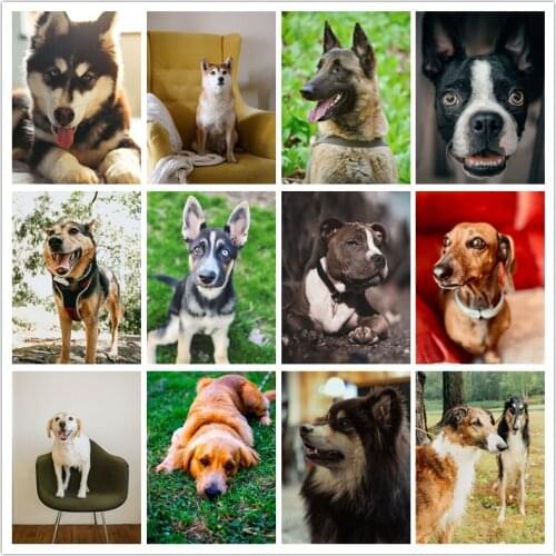 Diy Square/Round Diamond Embroidery Animal 5d Diamond Painting Dog Rhinestone Mosaic Cross Stitch Home Decoration