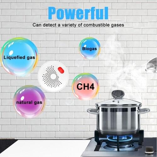 Smart Safety WIFI Natural Gas Detector Propane Detector Natural Gas Alarm Reminder Suitable for Home Kitchen Camper Trailer RV