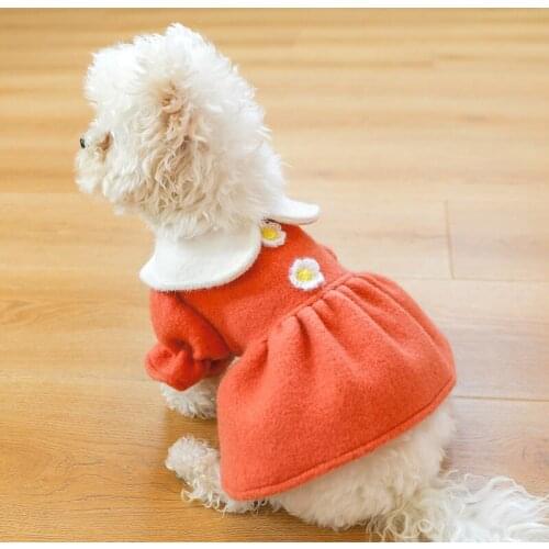 Pet Dog clothes for small dogs cat Warm and comfortable princess skirt in autumn and winter Doll collar flower woolen skirt