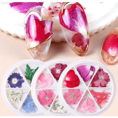 6 Box Natural 3D Dried Flower Nail Decoration Floral Sticker Mixed Dry Flower DIY Nail Art Decals Summer Manicure Tools