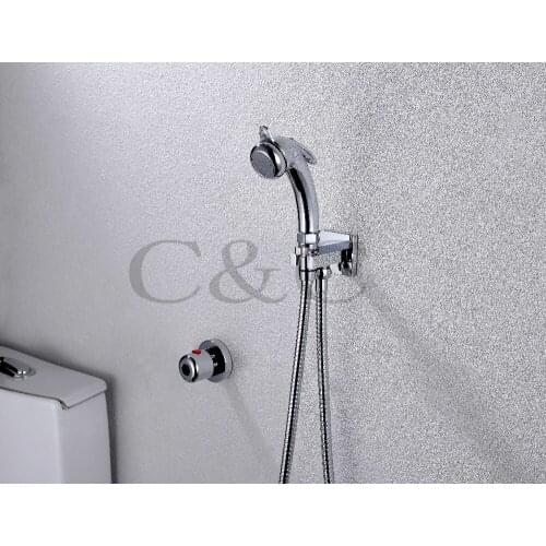 Multifunctional Thermostatic Pet Cleaner Wall Mounted Chrome Portable Shattaf Bidet Gun A801D