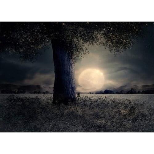 Paint By Number Moon Tree Landscape Drawing On Canvas HandPainted Painting Art Gift DIY Pictures By Number Kits Home Decor