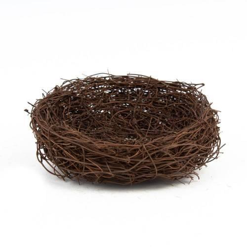 Birds Nest