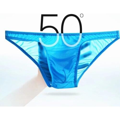 Sexy Men Briefs Ice Silk Nylon Male Gay Penis Pouch Mens Soft Bikini Super Thin Jockstrap Bulge Bikini Man Underwear