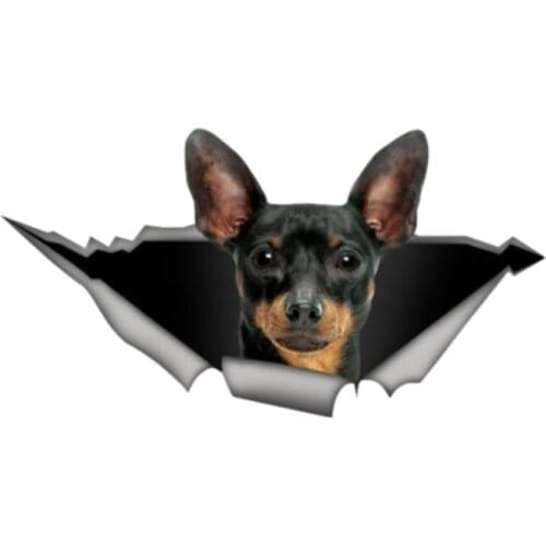 Creative Pincher 3D Pet Graphic Car Sticker Accessories Motorcycle waterproof car Window Decal PVC 13cm X 7cm