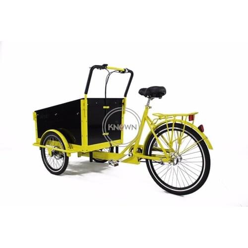 New Design Electric Family Cargo Bike Adult Tricycle for Transport and Grocery Shopping 6 Gear Speeds 250w Customizable