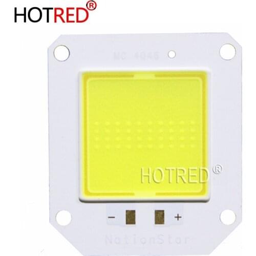 1PCS LED COB Bulb Lamp 20W 120V 150mA LED Chip Diode Emitter Nation Star Input Fit For DIY LED Flood Light Cold White