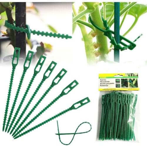 100PCS Tree Ties Adjustable Plant Ties Garden Ties Flexible Plant Cable Ties For Supporting Rose Shrub Plants Greenhouses