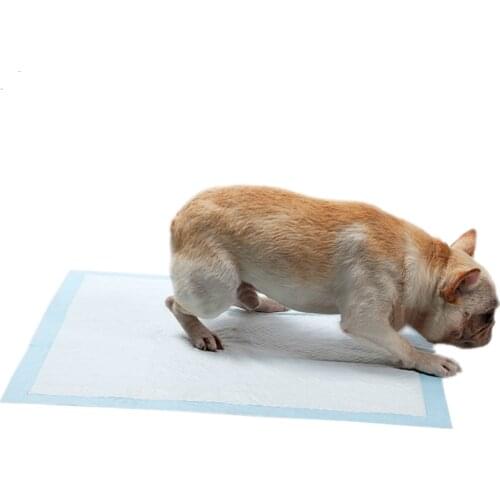 100/50/40/20Pcs Pack Pet Puppy Disposable Diaper Dog Doggy Cat Diapers Nappy Pads Paper Mat