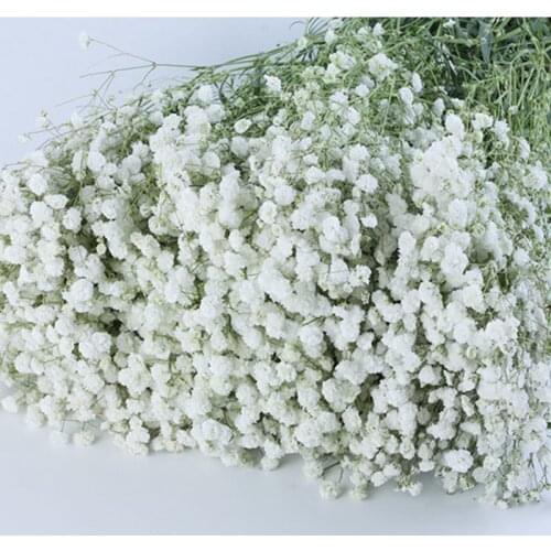 100g Big Bunch Baby Breath Natural Dried Preserved Gypsophila Flower Decor Home Wedding Bouquet Valentines Day Gift Craft