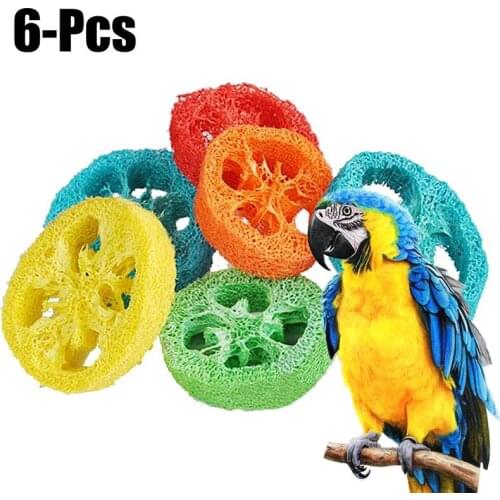 6PCS Parakeet Chewing Toy Parrot Bird Bites Swing Luffa Slices Shaped Bird Chew Toys Parrot Bird Cage Toys Bird Toys 2021