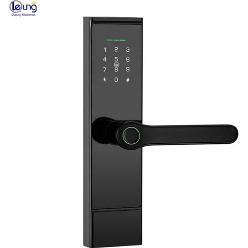 Qleung S808 Hot Sale Intelligent Code Key Card Wifi Digital Smart Fingerprint Door Lock