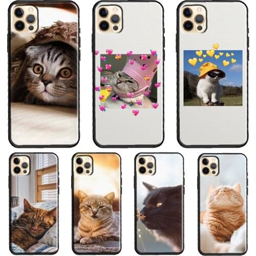 Cute Cat Animals Kitten Silicone Case For iPhone XR X XS MAX SE 2020 6S 7 8 Plus 12 Mini 11 Pro Max Shell Cover