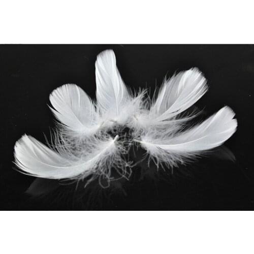 White Feathers! 200PCS/LOT 7-12cm Loose Goose Coquille Feathers Bright White Colour~ wholesale ,feathers for crafts