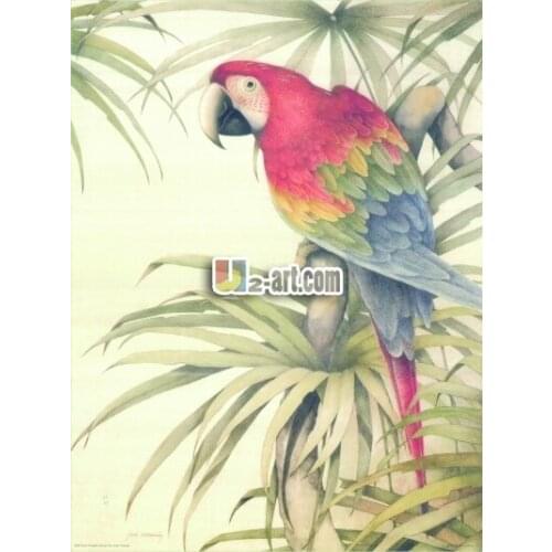 Birds oil painting reproduct art from jean cassady as canvas prints beautiful green wing macaws HD0039B Free shipping