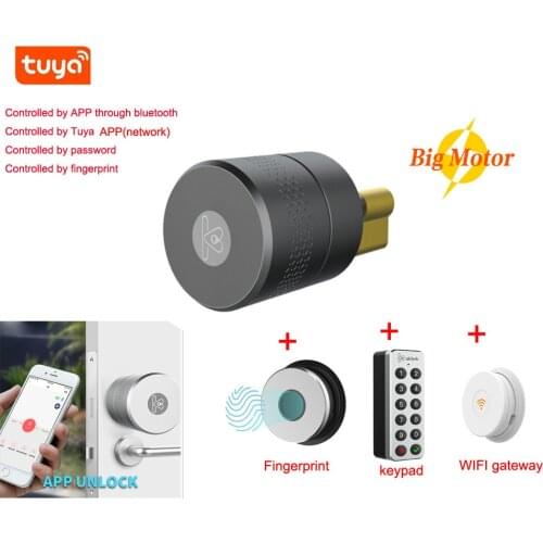 M531 NUKI Style Intelligent Tuya Smartlock Door Lock for Euro Profile / Swiss Round / UK Oval / Knob Cylinder