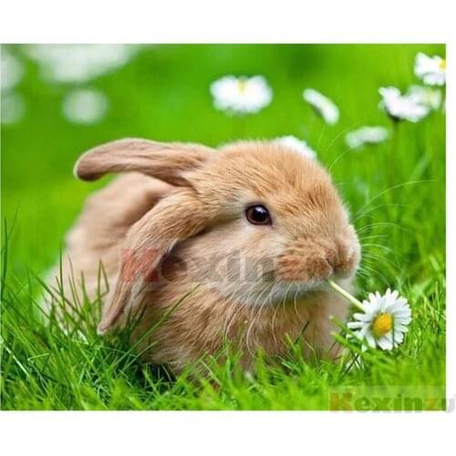 Kexinzu Full 5D DIY Square/Round Drill Diamond Painting "Animal rabbit" 3d Diamond Embroidery Cross Stitch Decor Gift Ke08