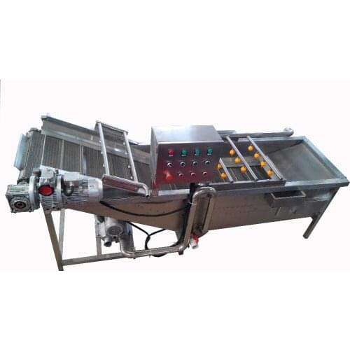 2.5m Fruit Vegetable Washing machine/automatic Vegetable Air Bubble Washing Machine